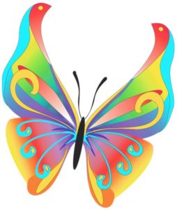 colourful-butterfly