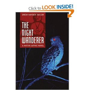 Image of front cover of The Night Wanderer