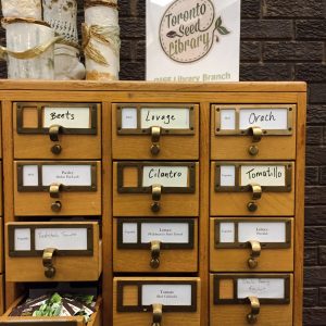 card catalogue where seeds are stored