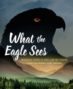 Cover of What the Eagle Sees: Indigenous Stories of Rebellion and Renewal