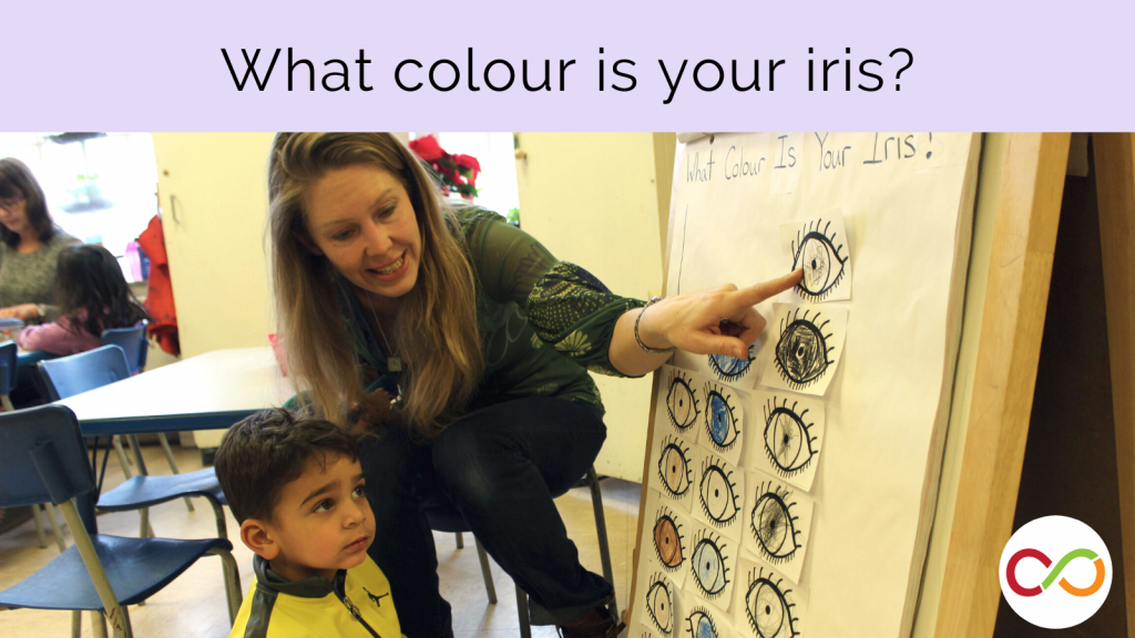 An image linking to the What Colour is Your Iris? lesson