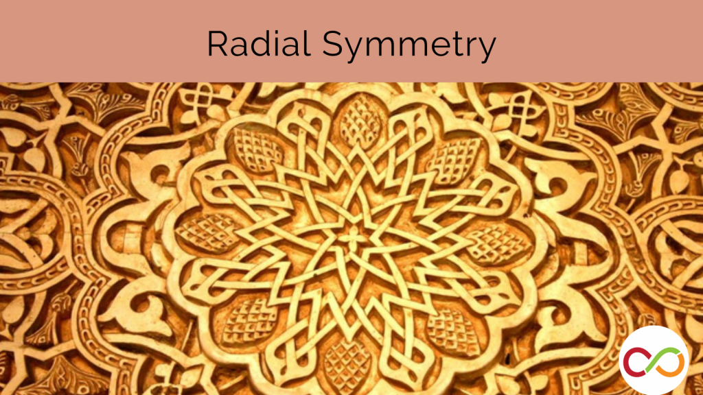 An image linking to the Radial Symmetry lesson