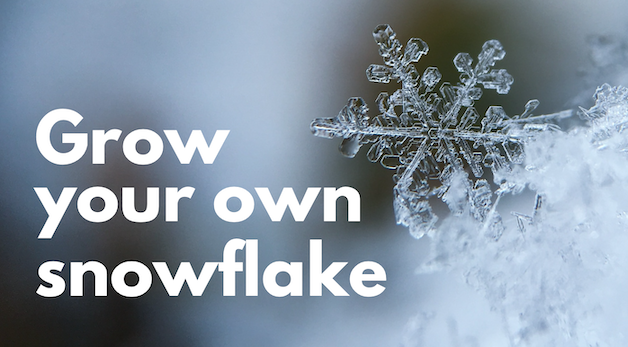 A close up image of a snowflake with the title "Grow your own snowflake"