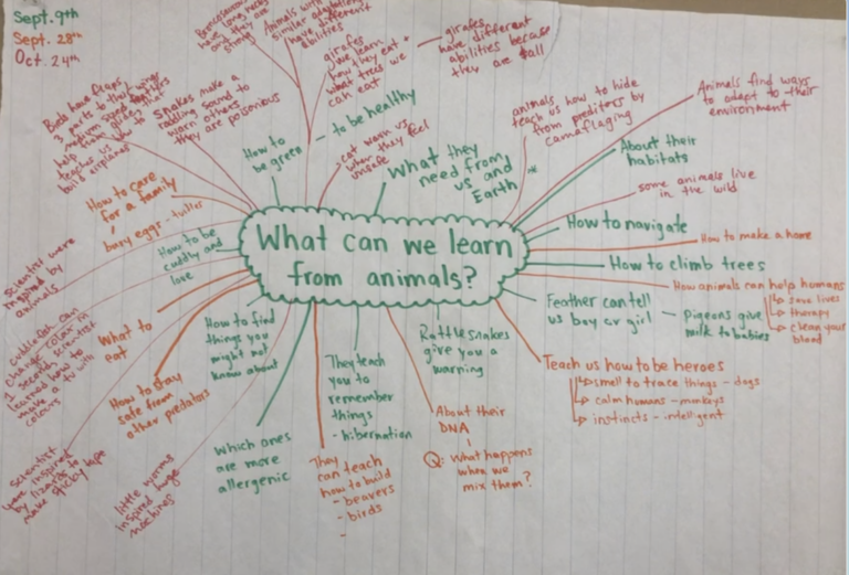 An image of a Grade 2 brainstorm chart focussing on what can be learned from animals