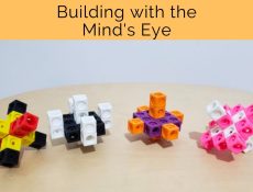 Building with the Mind's Eye